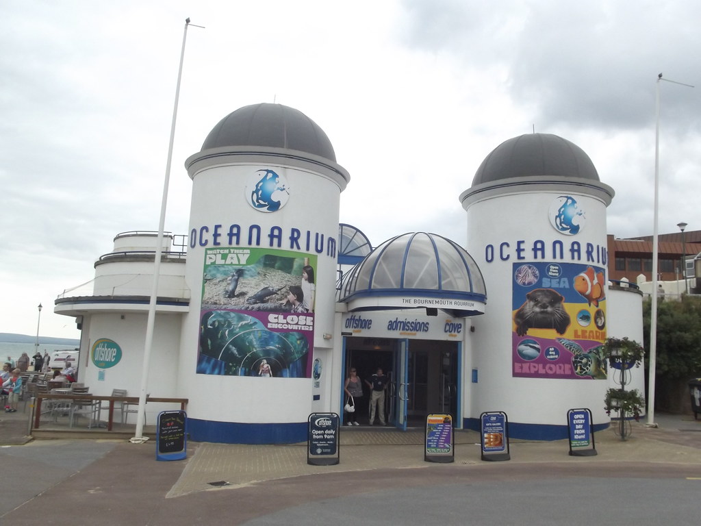 10 fun things to do with families in bournemouth Oceanarium